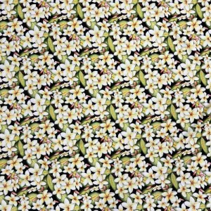 Plumeria All Over Hawaiian Fabric | Black 0223 BLK-0013C